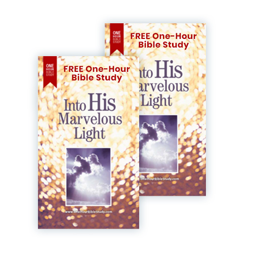 Into His Marvelous Light Witnessing Tracts